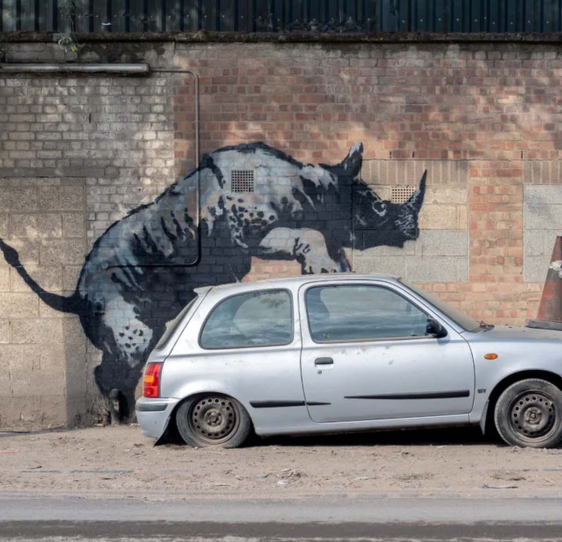 Rhino