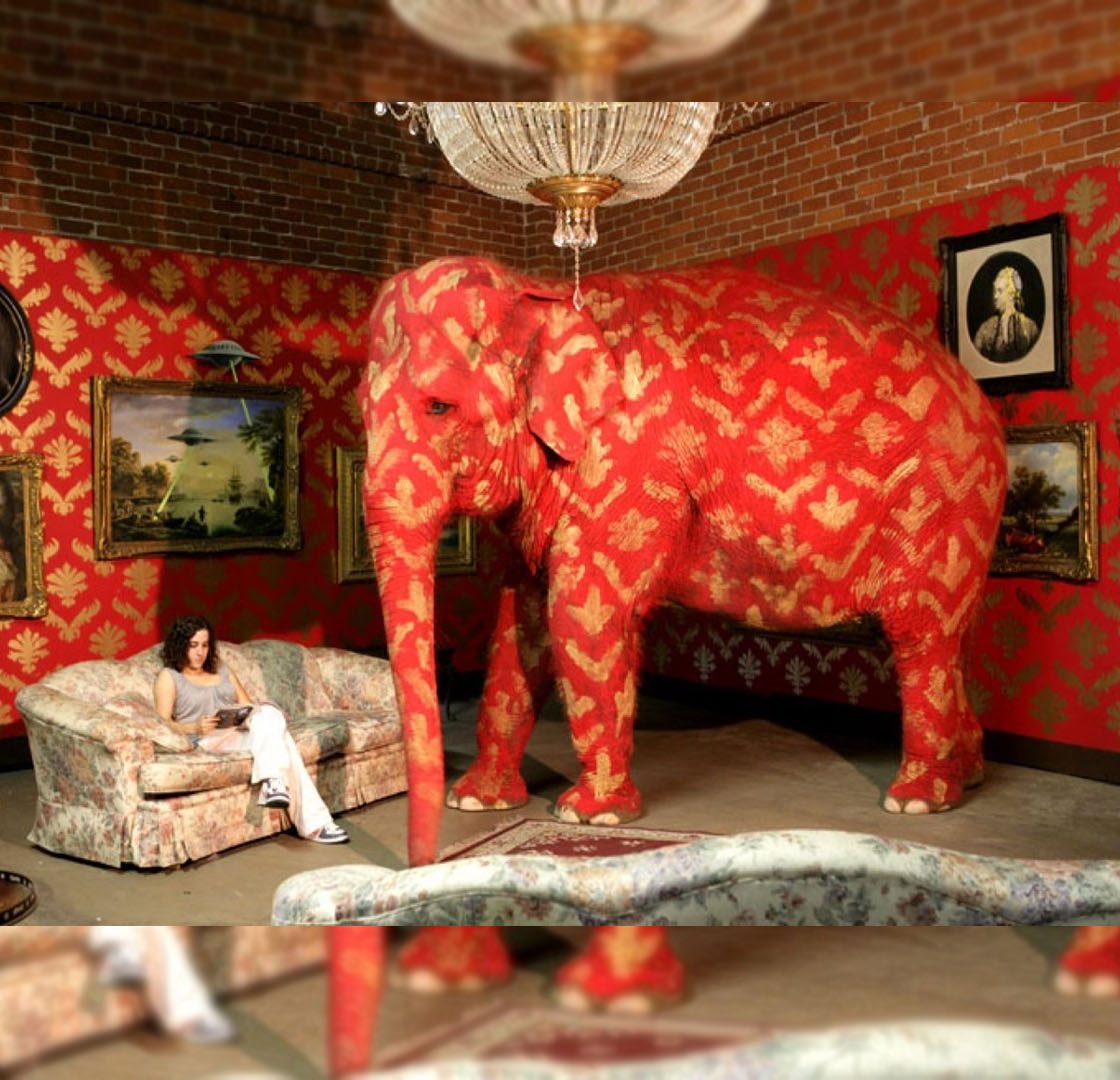 Elephant in The Room